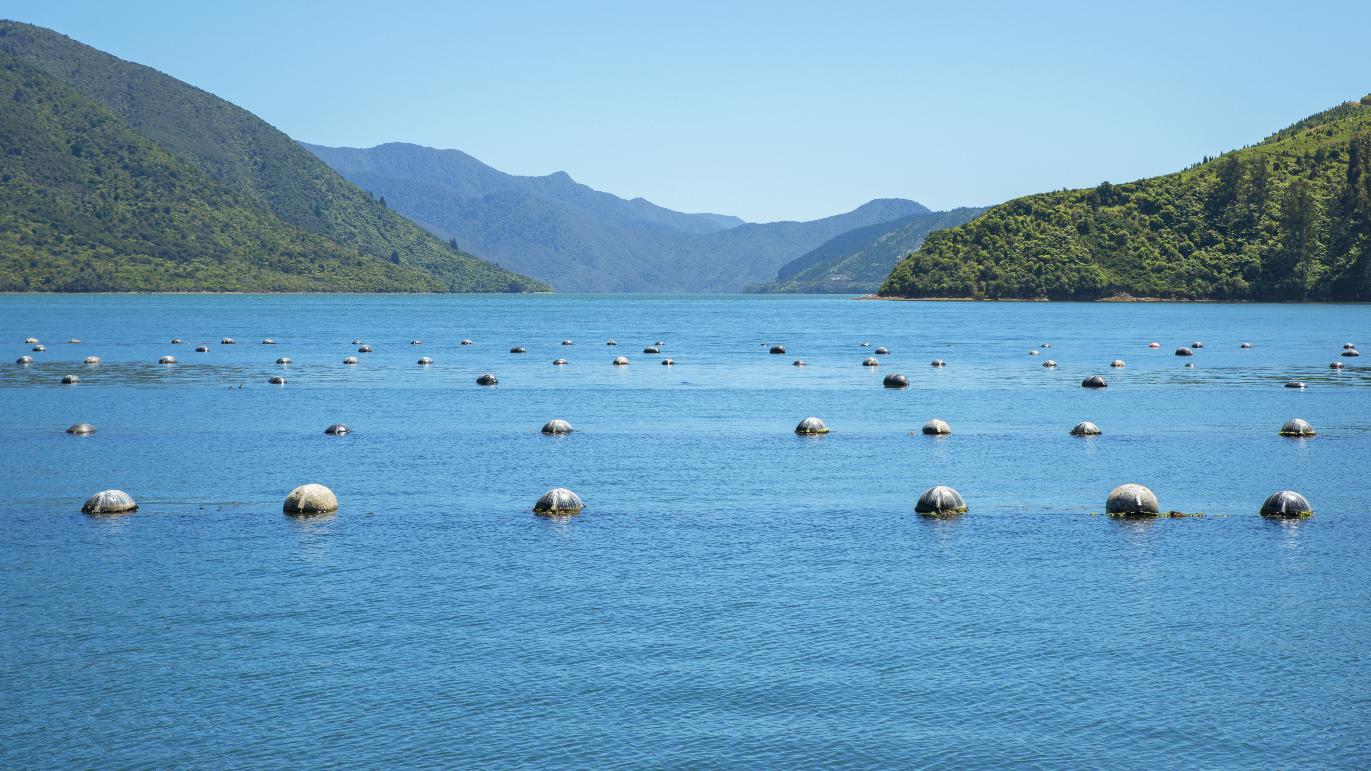 Aquaculture